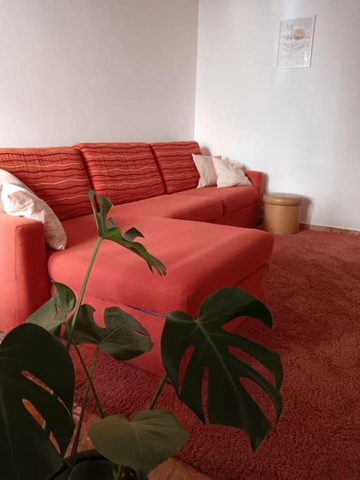 Forti Genova-Free Parking Castellaccio Apartment Eksteriør bilde