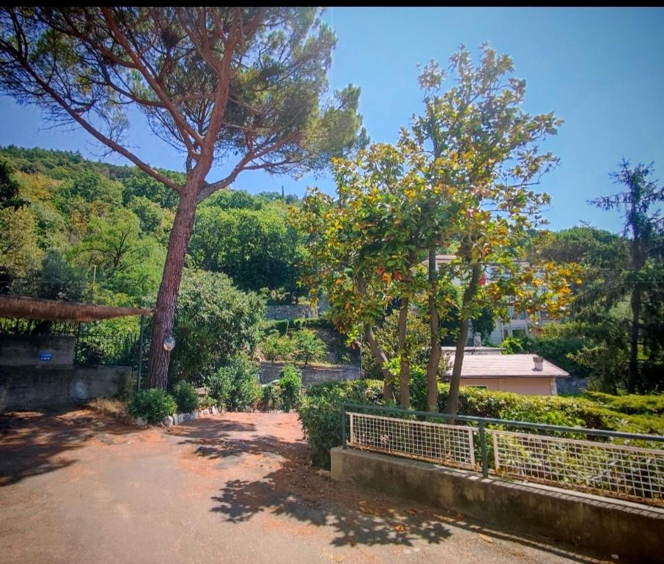 Forti Genova-Free Parking Castellaccio Apartment Eksteriør bilde